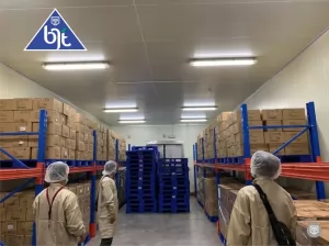 Cold Storage: Ensiklopedia Lengkap Teknologi Gudang Pendingin di Indonesia